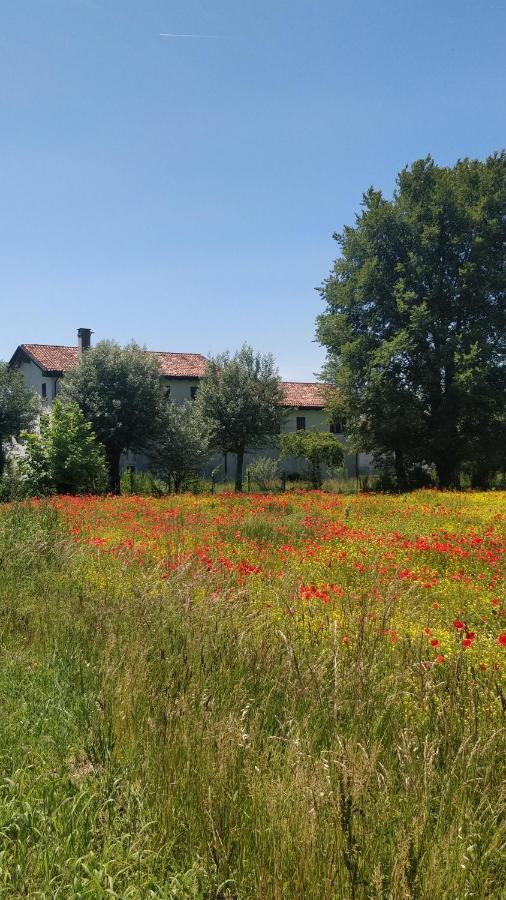 ホテル Porte Di Venezia, Tessera Aeroporto ファヴァロ・ヴェネト エクステリア 写真